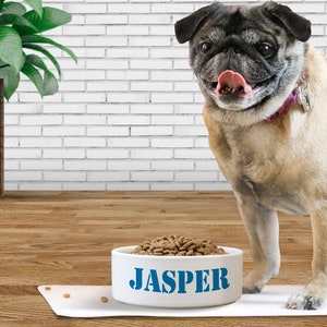 Personalized Dog Bowl Cat Pet Bowl with Name Gift for Pet Food Bowl Water Bowl Small Cat Bowls- Custom Pet Bowls-Personalized Pet Food Bowl