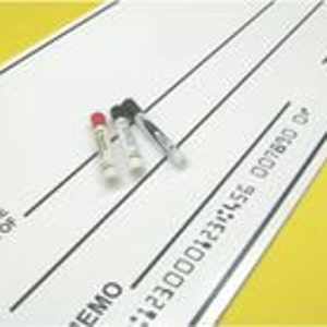 Giant Check DESIGN ONLY Template -oversize Check 12x24", 18x36" or ...