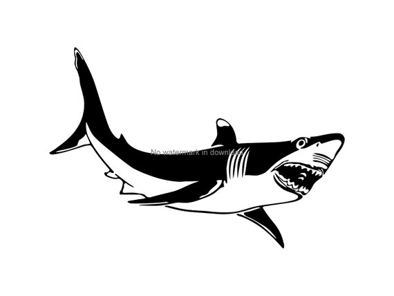 Free Free 224 Shark Silhouette Svg SVG PNG EPS DXF File