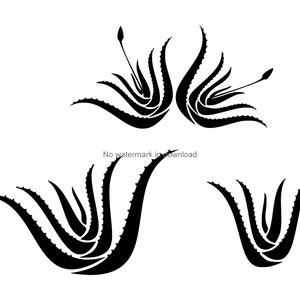 Aloe Vera Svg Image File, Aloe Vera Dxf Files, Aloe Vera Cut Files, Aloe Vera Clipart Svg, Aloe Vera Svg Image, Aloe Vera Clip Art