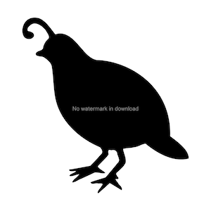 Quail SVG: Laser Cut File, Printable Images (Digital Download)