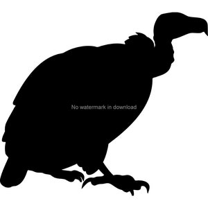 Vulture Vector Image, Vulture Vinyl Cut File, Vulture Vinyl Cut File, Vulture Dxf, Vulture Printable Clipart, Vulture Clipart