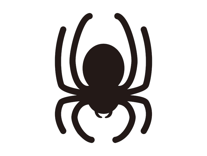 Download Spider Svg Halloween Spider Svg Bug Svg Clipart Silhouette ...