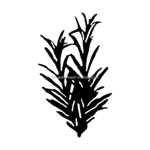 Rosemary SVG Cut File: T-Shirt Design, Engraving (Digital Download)