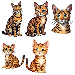 Bengal Cat PNG Bundle: Crafting & Scrapbooking Image Files
