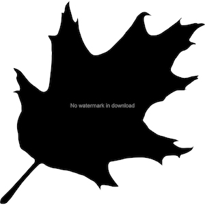 Oak Leaf Svg Cutting File, Oak Leaf Cut Files For Cutting, Oak Leaf Engrave Svg, Oak Leaf Dxf File