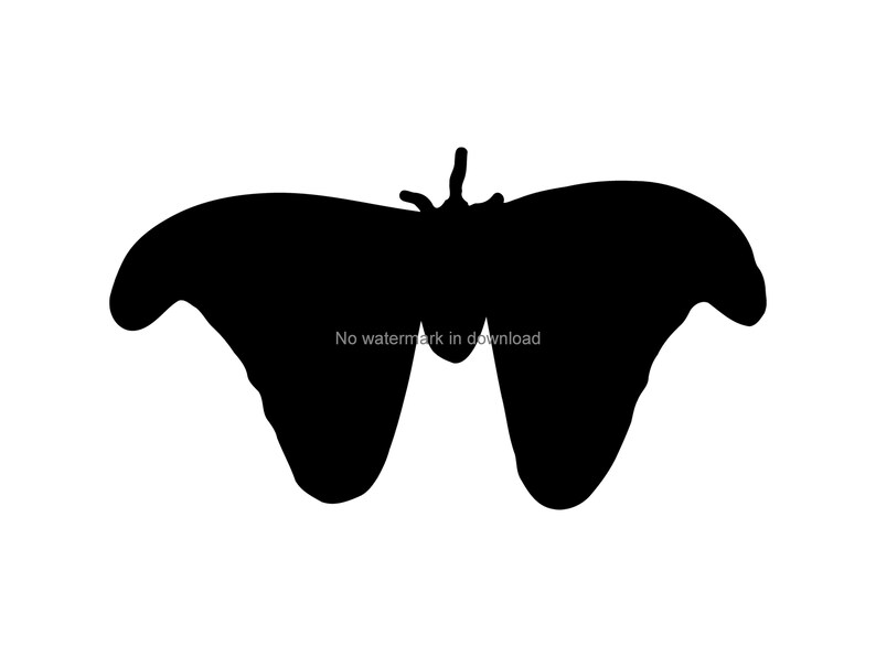 Download Butterfly Files For Silhouette Butterfly Cut File Butterfly Laser Svg Butterfly Cricut Cut File Butterfly Vinyl Cut File Butterfly Dxf Clip Art Art Collectibles Womenintech Fi