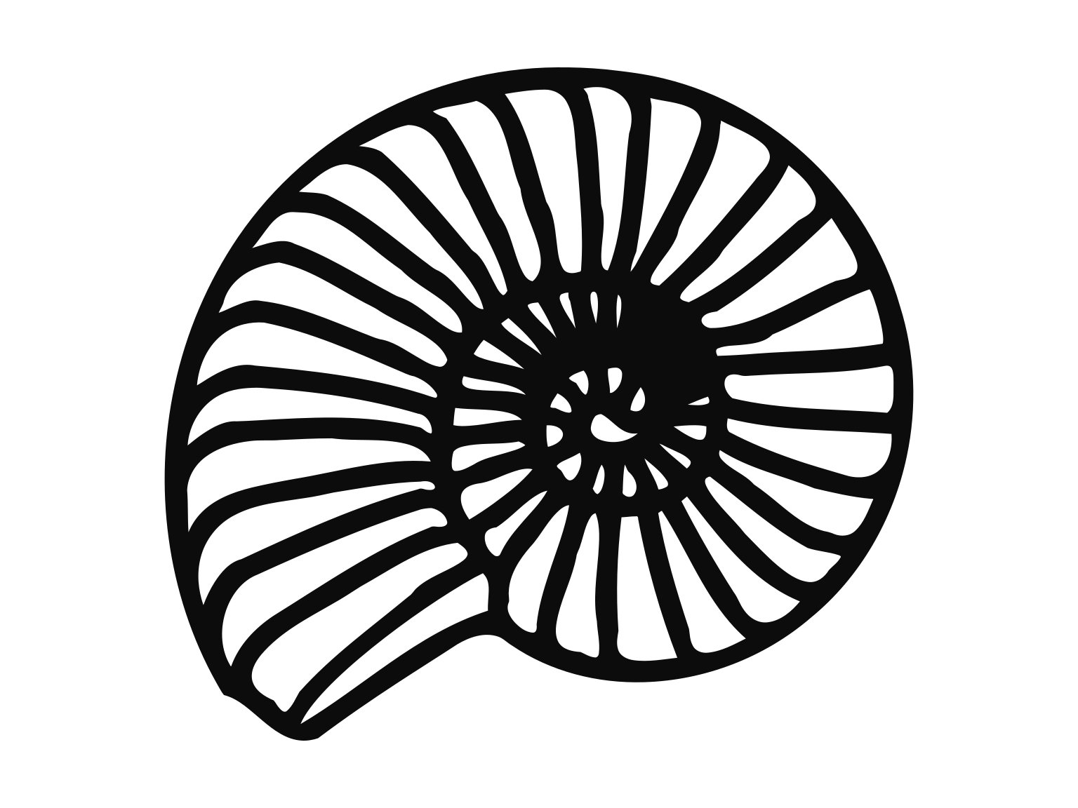 Sea Shell Svg Fossil Svg Silhouette Cutting File Clipart Svg Etsy