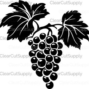 Weinrebe Clipart elegante schwarze Silhouette Kollektion für Sublimation und kreative Projekte - Instant Download