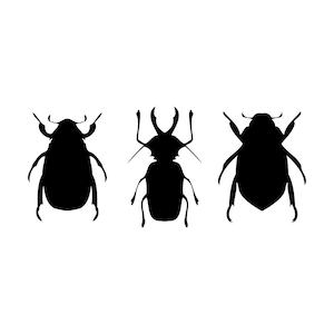 Imagem de clipart de besouro svg, gravura de besouro DXF, arquivos de corte de bug svg, arte de clipe de bug de besouro svg, arte de clipe de besouro, imagem de scrapbooking de besouro
