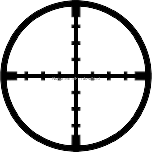 Puede incluir: Un blanco negro y blanco con un círculo y una mira. La mira tiene varias líneas que se extienden desde el centro.