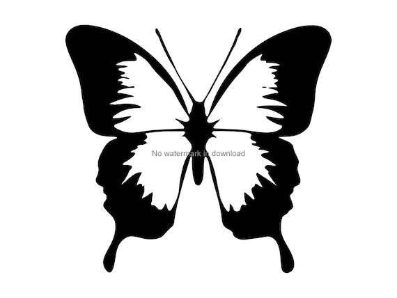 Download Free Butterfly Silhouette Svg Butterfly Vinyl Cut File Butterfly Etsy SVG Cut Files