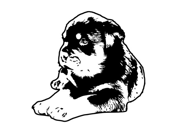 Download Rottweiler Puppy Svg Puppy Silhouette Cutting File Clipart Svg Etsy