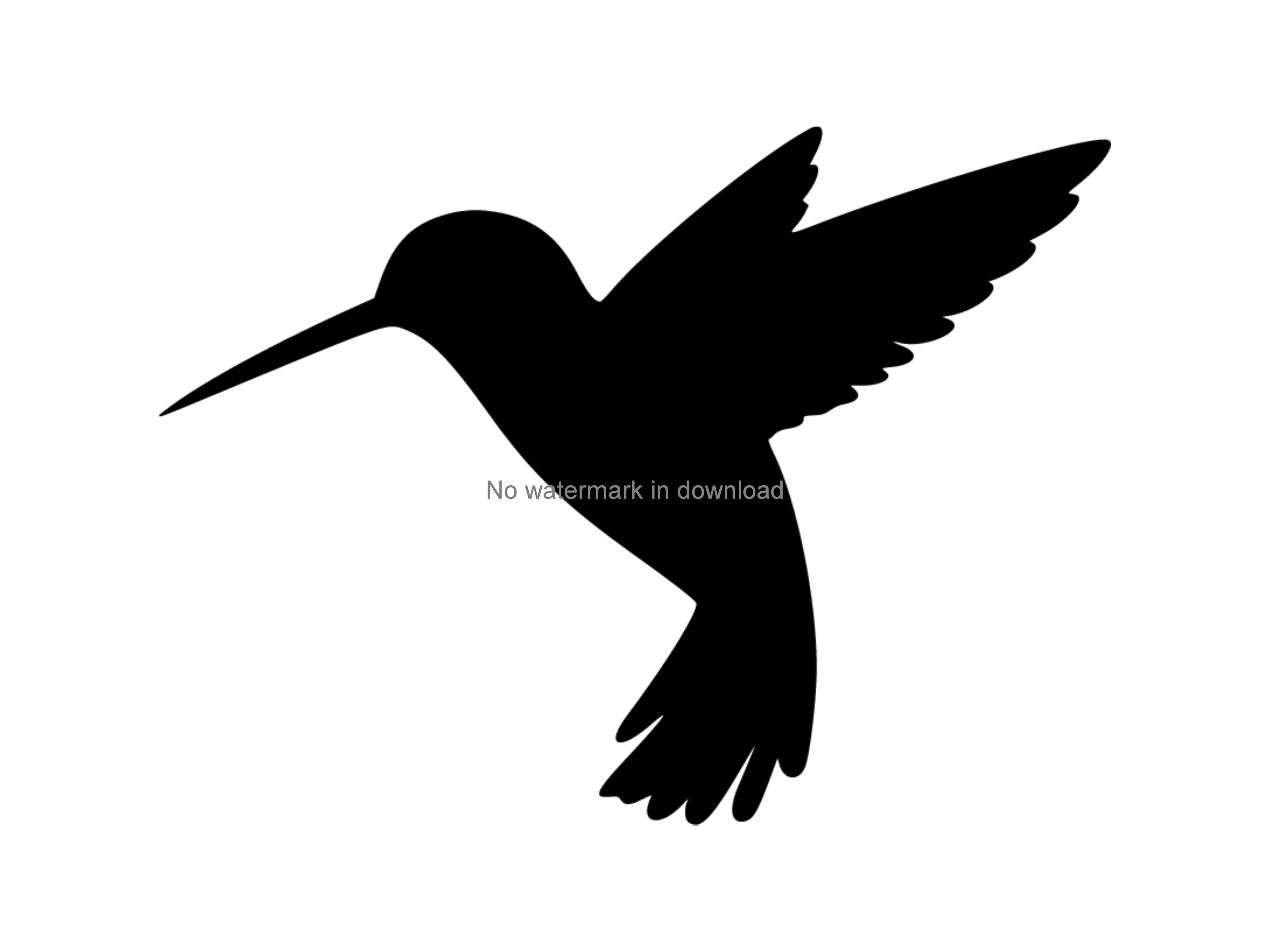 Free Free 56 Free Svg Hummingbird SVG PNG EPS DXF File