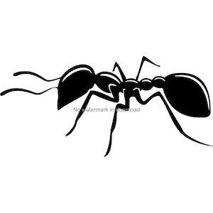 Ant SVG Clipart: Iron On, Laser Cut File (Digital Download)