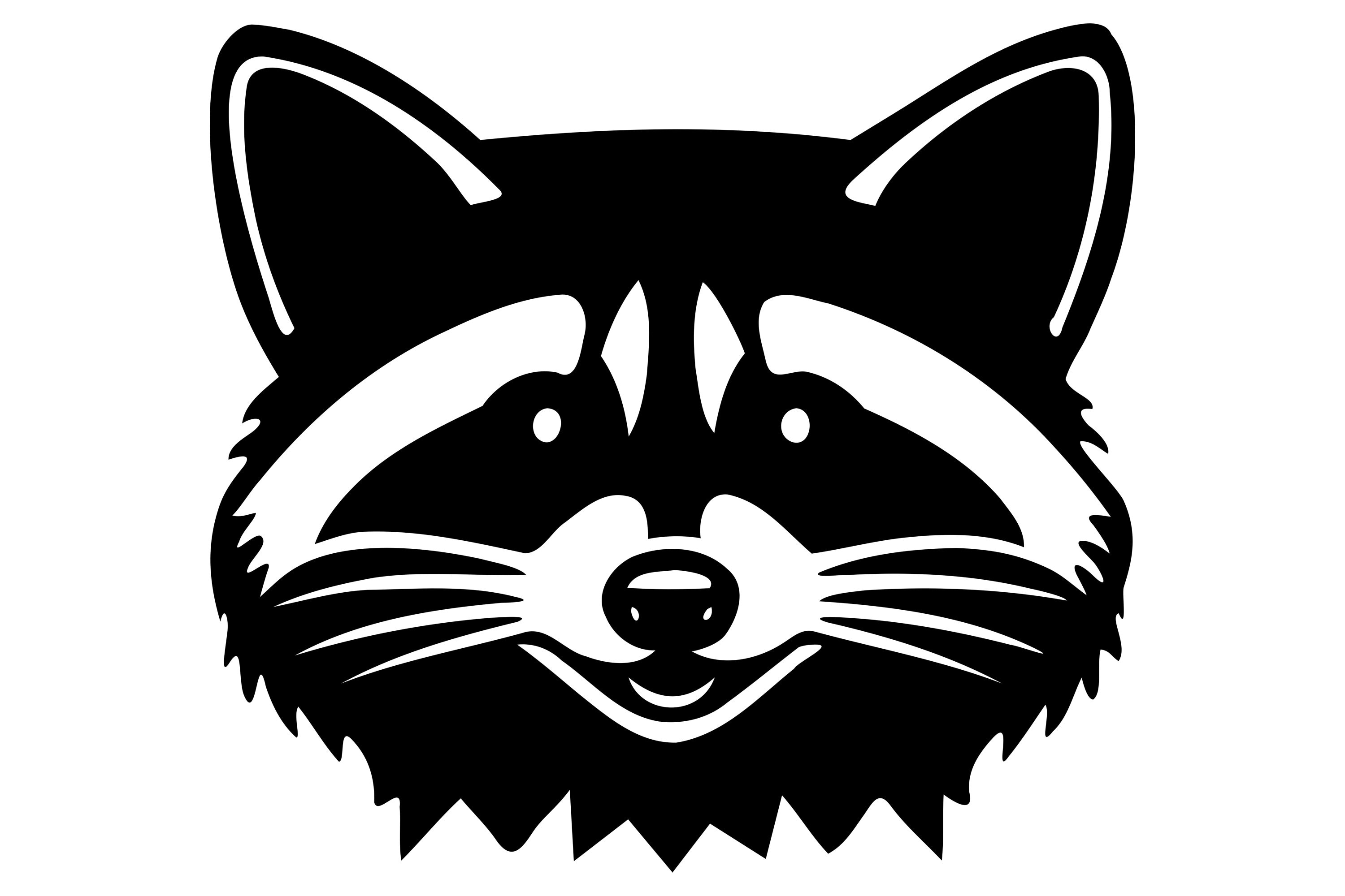 Raccoon face silhouette