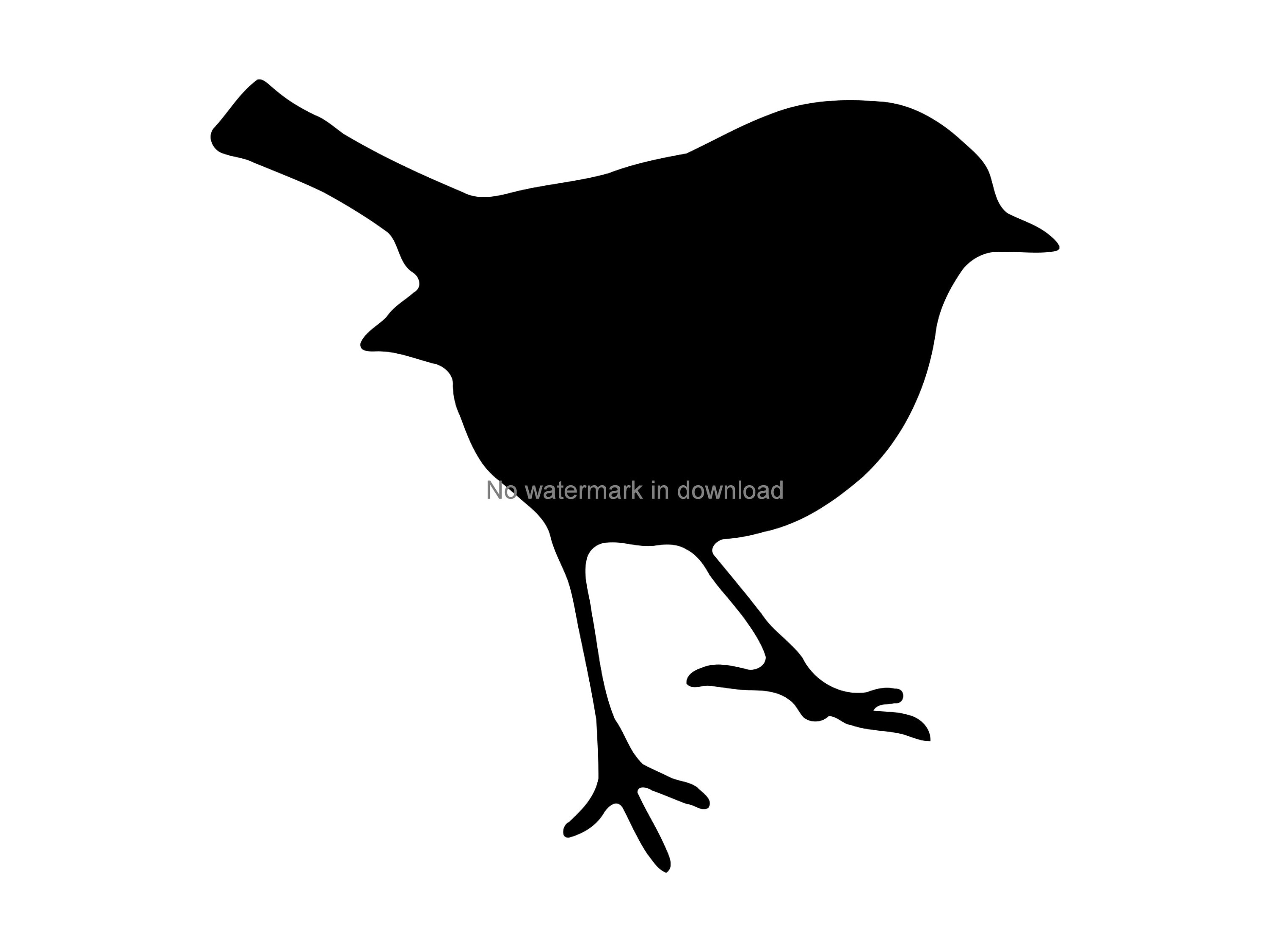 Bird Scrapbooking Svg Bird Printable Images Bird Svg Files Etsy Canada