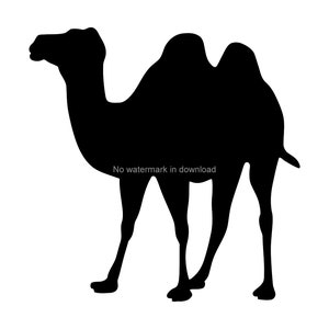 cammello svg dxf png cut file, cammello immagine svg, cammello svg clipart, cammello vettoriale file, cammello incisione svg, cammello taglio file