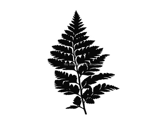 Download Fern Clip Art Svg Fern Iron On Svg Fern Vinyl Cut File Fern Etsy