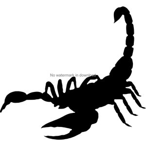 Scorpion Svg Cutting Image, Scorpio Cutting File, Desert Scorpion Silhouette Files, Scorpion Svg Png Dxf