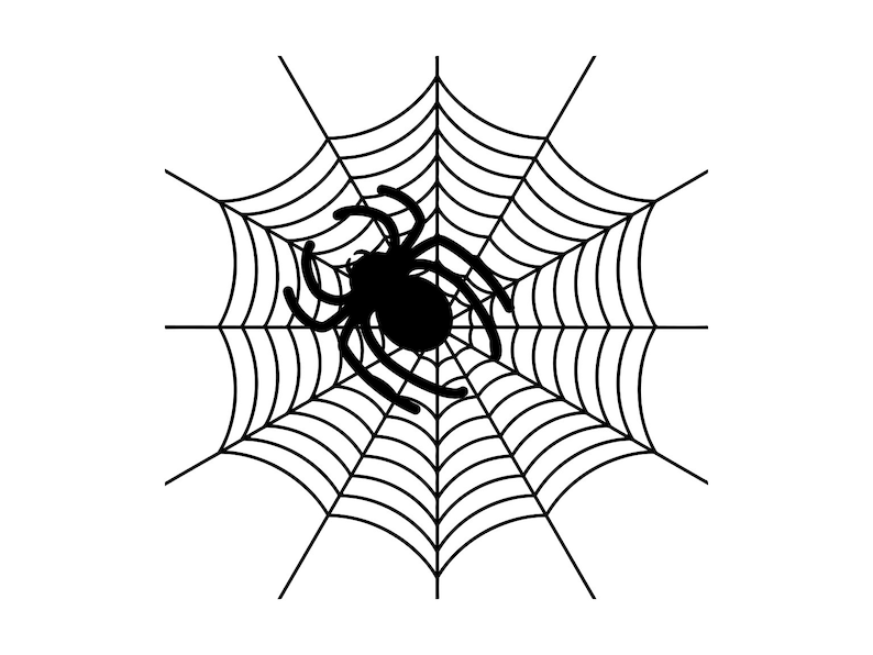 Spider Svg Spider Web Svg Halloween Cutting File Halloween - Etsy
