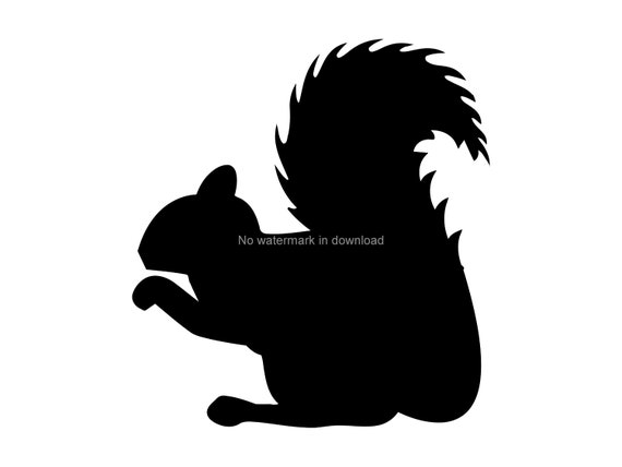 Download Squirrel Svg Dxf Png Squirrel Svg Image Squirrel Svg Files Etsy