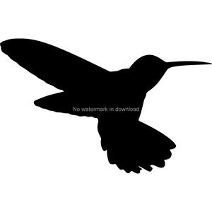Hummingbird SVG Cut File: T-Shirt Design, Engraving (Digital Download)
