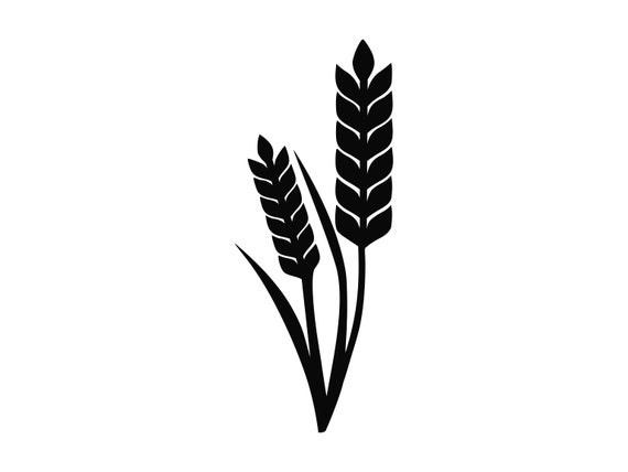 Weizen Stamm Svg Floral Stem Svg Stem Silhouette Schneiden Etsy