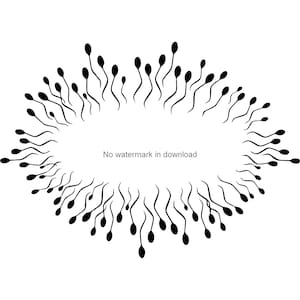 Sperm SVG Clipart: Baby Shower Image, T-Shirt Design (Digital Download)