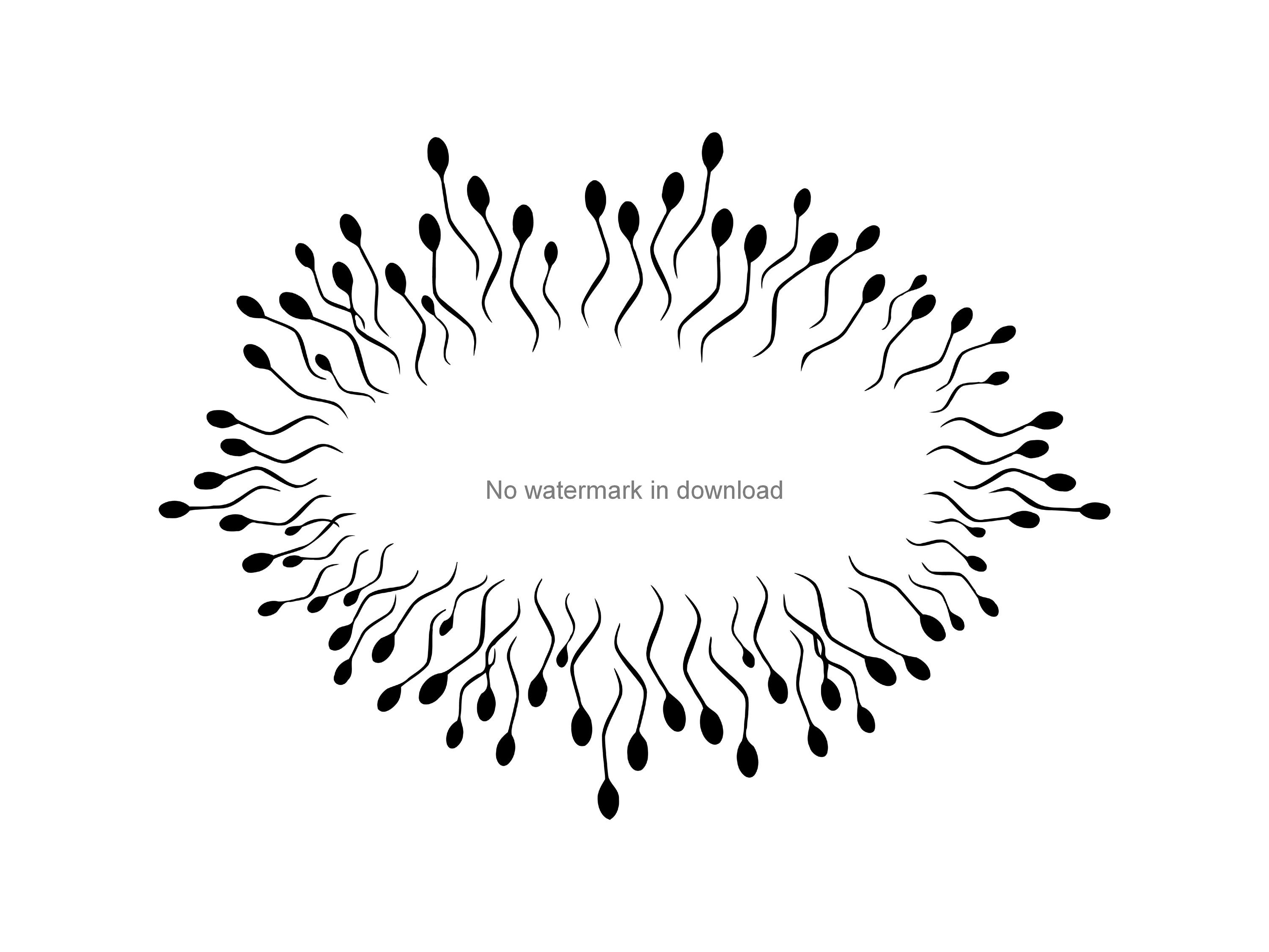 Sperm Svg Cutting Files Sperm Clipart Image Digital Download Etsy