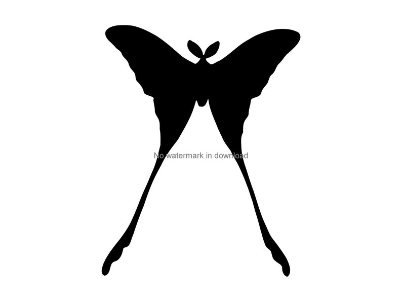 Free Free 323 Vector Cricut Butterfly Svg SVG PNG EPS DXF File