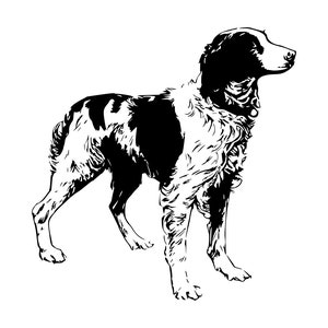 Brittany Spaniel SVG: Dog Silhouette Clipart, Laser Cut File (Digital Download)