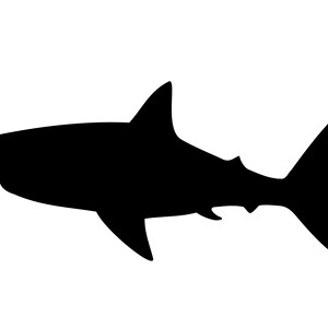 Shark Svg Clipart Image Silhouette Vector Cut File