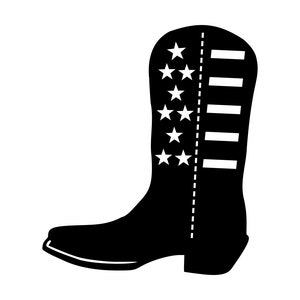 May include: Black cowboy boot with a white star and stripe pattern.