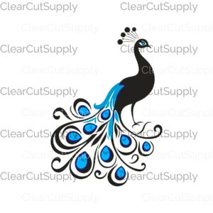 Elegante Pfau Clipart Sammlung in lebhaften Blau- und Schwarztönen - sofortiger Download Sublimationsdesign für dekorative Zwecke