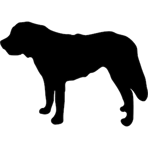 Saint Bernard Silhouette: Dog Clipart SVG, PNG, DXF (Digital Download)