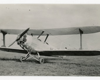 Udet U-12 Flamingo- vintage 20s aviation photo- aircraft- German biplane- OE-POG- aviatic history- Ernst Udet- BFW