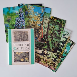 Set di cartoline d'epoca con immagini di piante medicinali, foto di erbe medicinali con descrizione