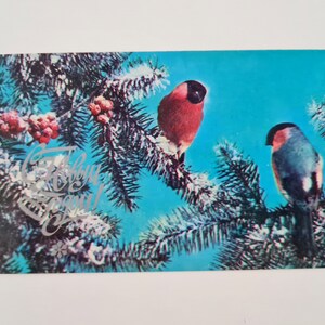 Carte postale vintage soviétique. Oiseaux, carte de Noël vintage, bonne année, carte postale vierge à collectionner