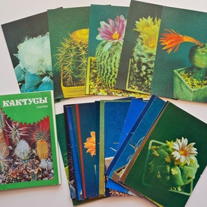 Cartes postales de cactus, 24 photos de cactus avec description en russe et en espagnol, jeu de cartes postales vintage soviétiques