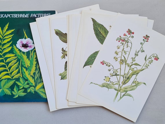 Botanical Postcard Set - Set of 26 Postcards - Vintage - Nature - Scra –  The NeckahNeck Forest Arts Collective