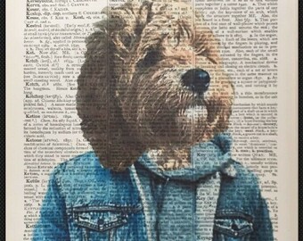 cockapoo clothes for dogs