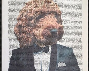 cockapoo clothes for dogs