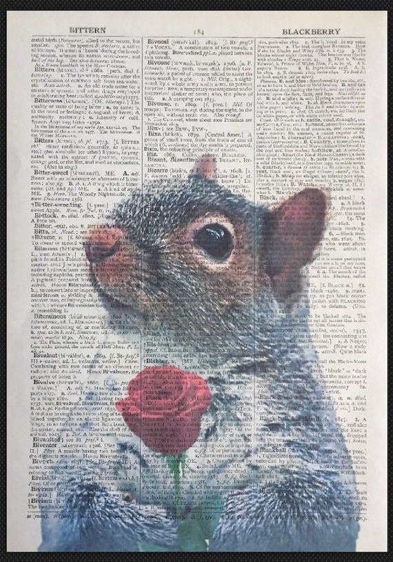 Squirrel Quote Vintage Dictionary Page Wall Art Picture Print Cute Love Animal