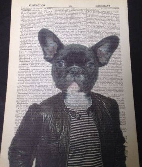 French Bulldog Frenchie Print Vintage Dictionary Print Page Etsy
