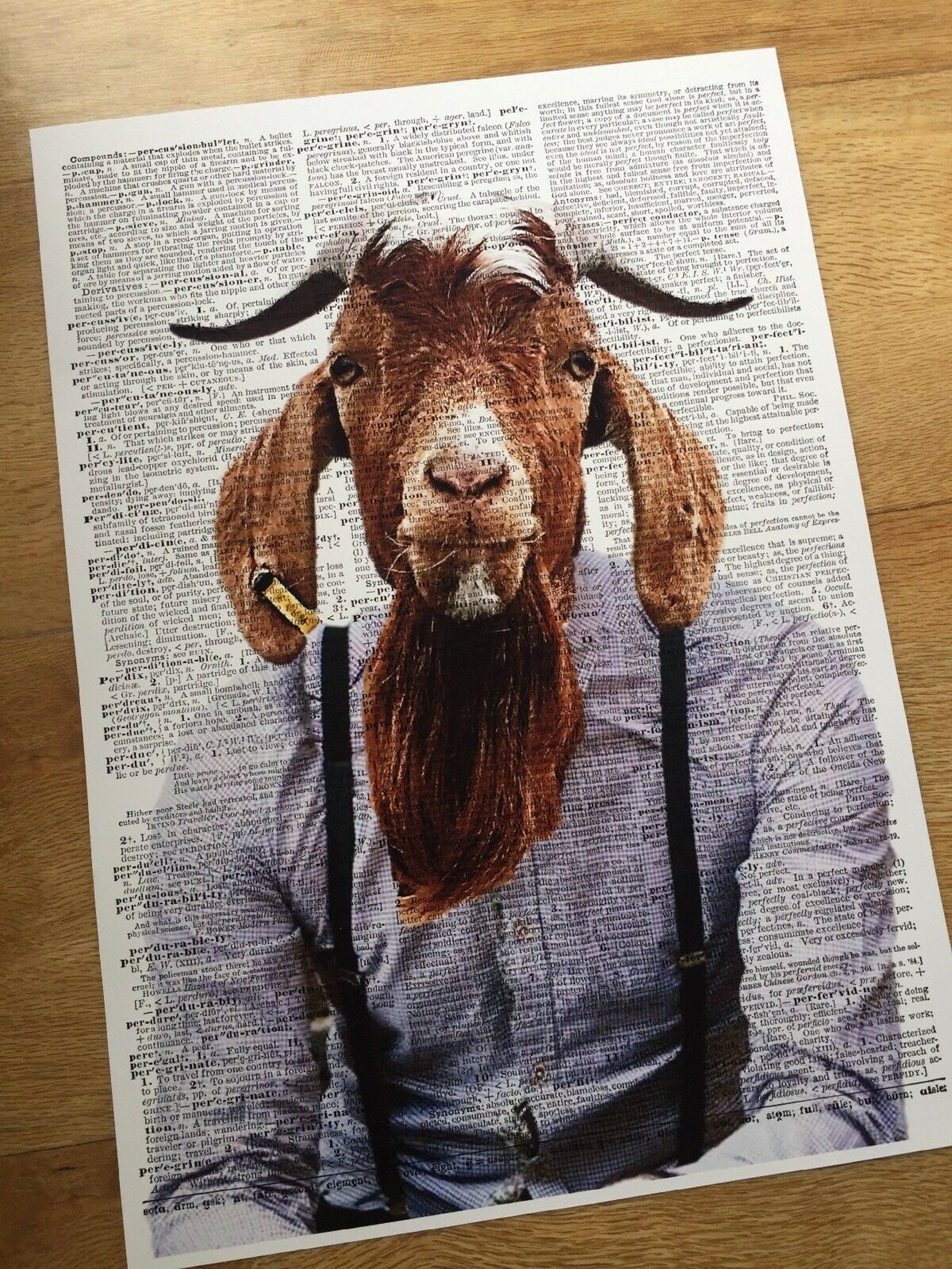 A3 Goat Braces Print Vintage Dictionary Page Wall Art Picture Etsy