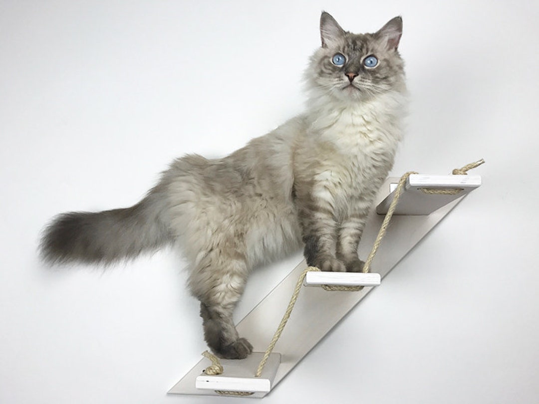 Cat Stair With 3 or 5 Steps Goes up Right Cat Furniture Athleticat Made ...