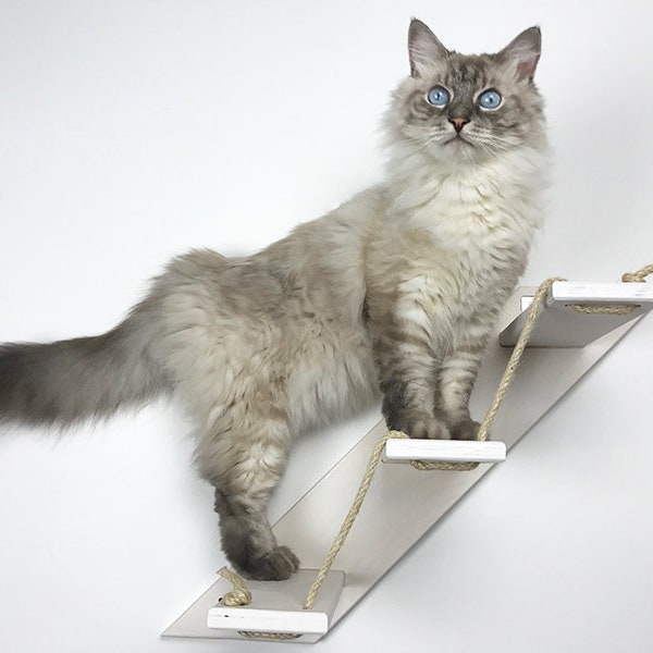 Cat stair with 3 or 5 steps – Goes up Right | Cat furniture | AthletiCat - Made in Italy