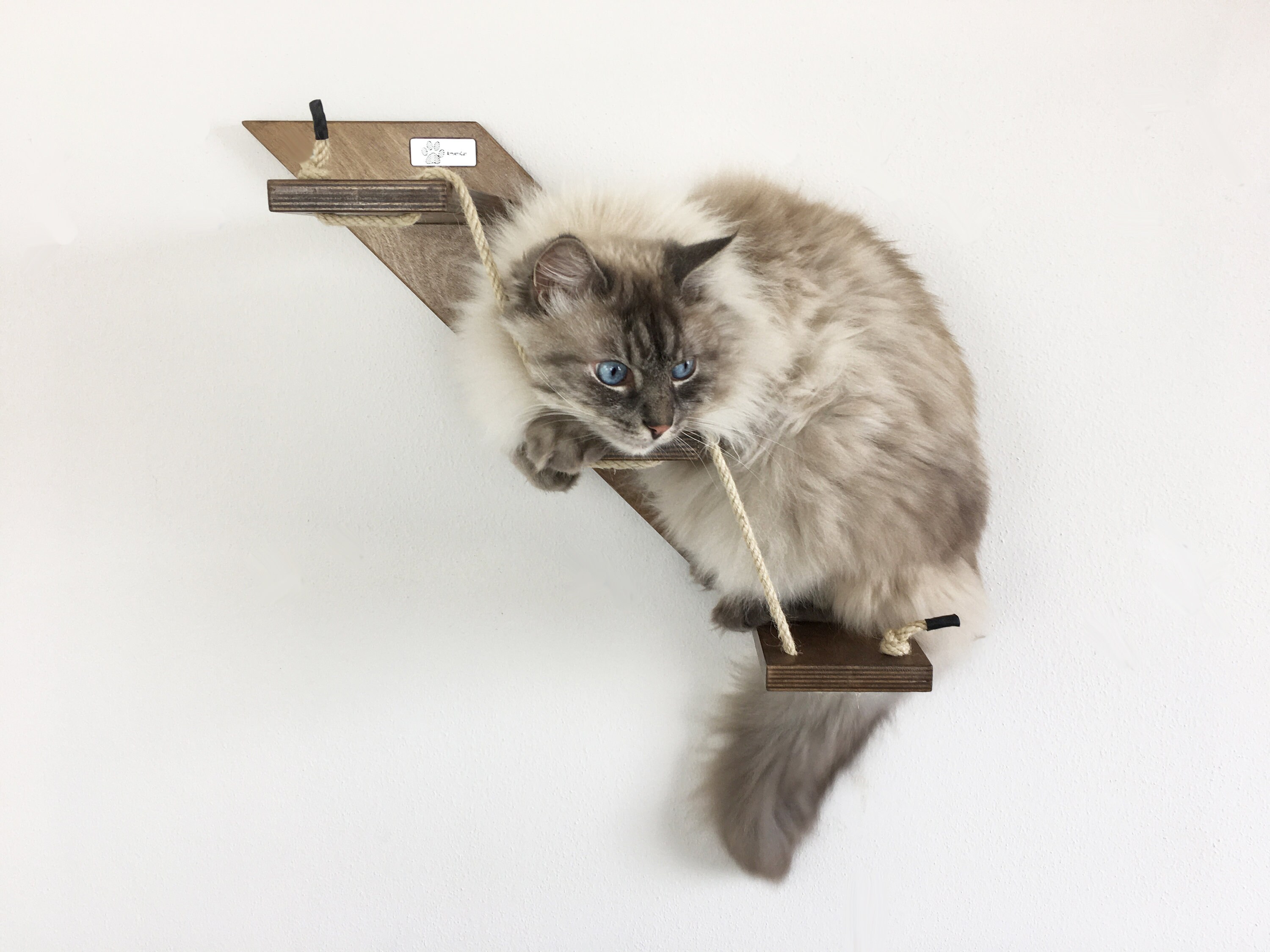 Cat Stair With 3 or 5 Steps Goes up Left Cat Furniture Etsy Australia