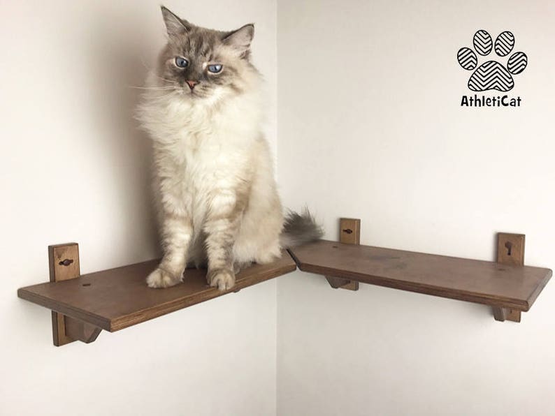 Corner Shelf for Cats inside Corner 2 Pieces Cat Etsy